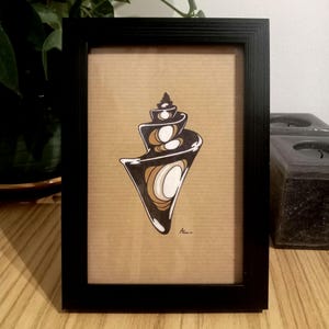 black frame shell