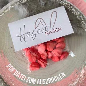 Bunny Noses I PDF Afdrukbaar I Paascadeau-idee