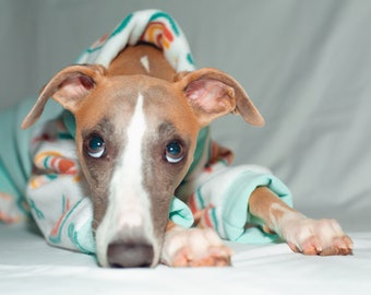 Aqua Rainbow | Whippet Pyjamas 2 leg sleeves