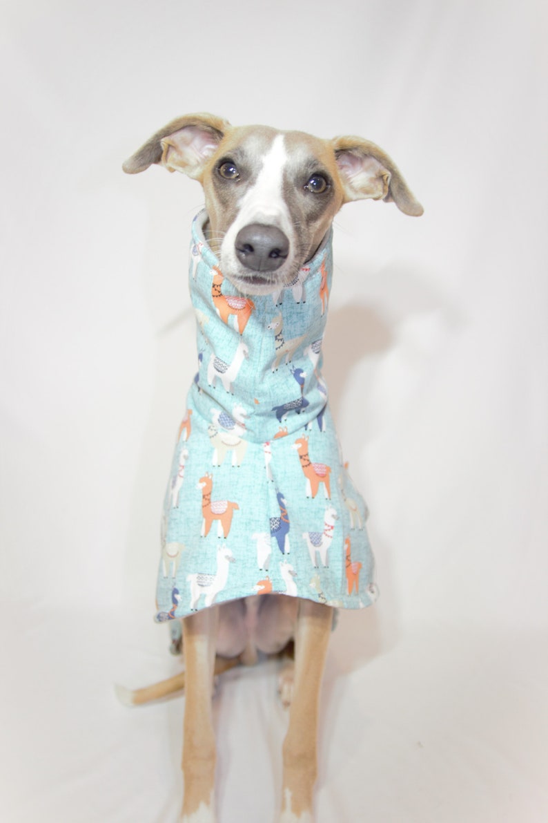Whippet Coat Etsy Australia