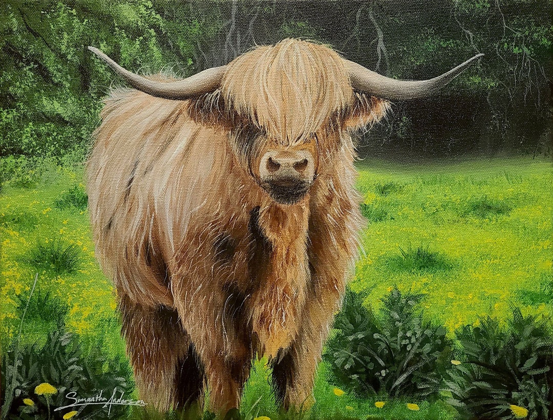 Highland Cow | Original Acrylic Painting on 11x14 Canvas, Art Hand