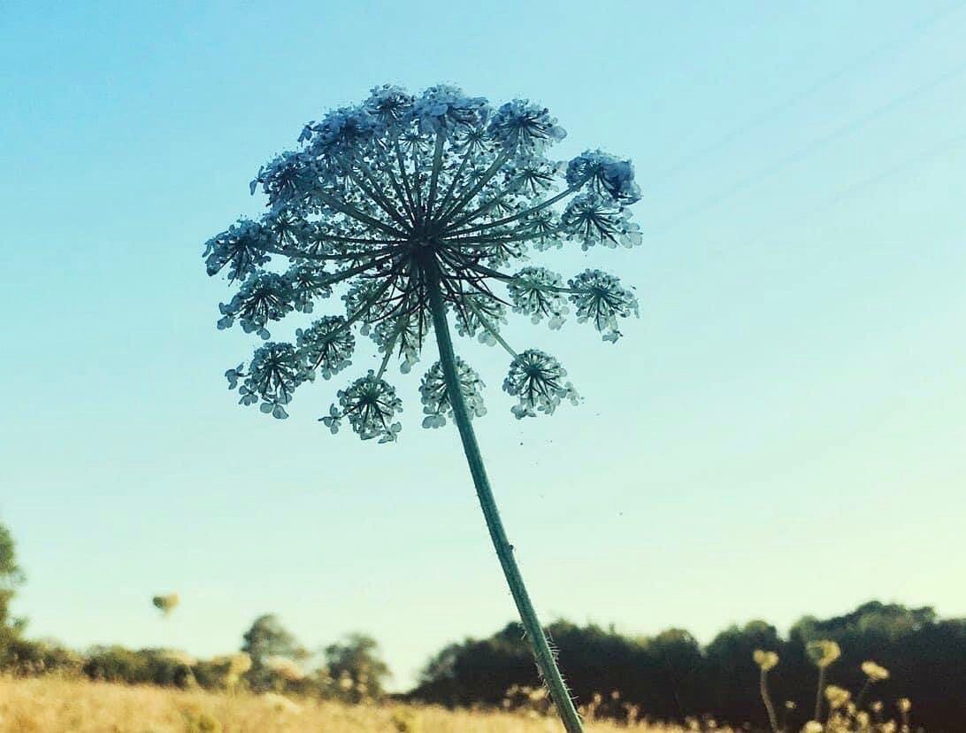 Heart Wall Clearing Etsy