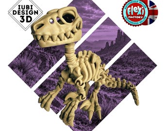 Skeleton Velociraptor | 3D Printed Articulated Dinosaur Skeleton Figure