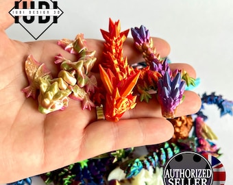 Cinderwing3D Mystery Wyvern & Tadlings Pack of 3 | Articulating Fidget Toys | Pocket Pals - Multicoloured