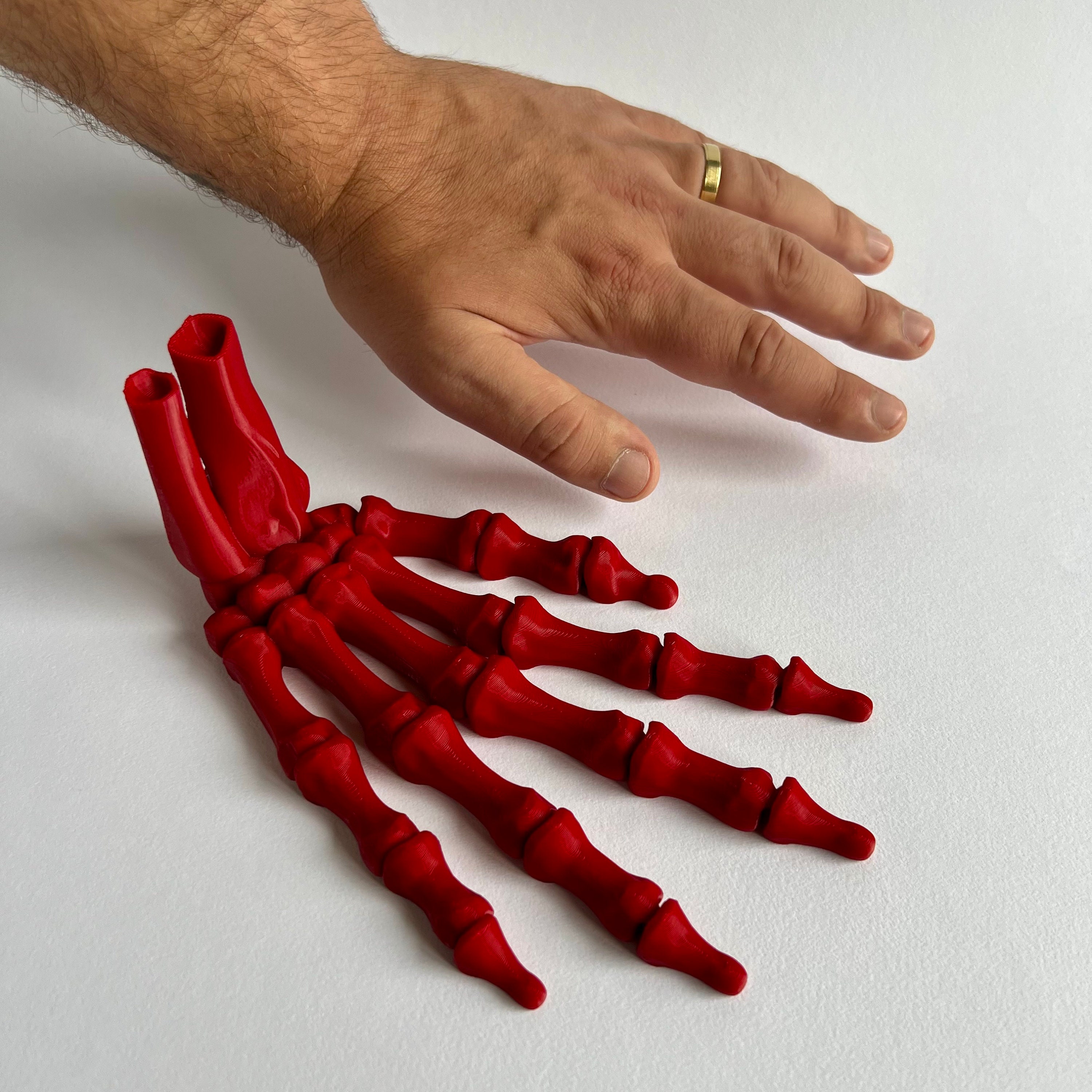 Realistic Articulating Skeleton Hand - Spooktacular Halloween
