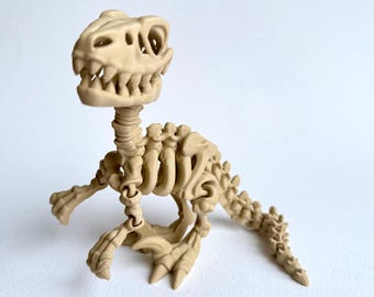 Skeleton Velociraptor | 3D Printed Articulated Dinosaur Skeleton Figure