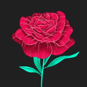 Flower Svg, Flower Png, Flower EPS, Flower JPG, Flower DXF, Flower Bundle, Flower Design, Flower Cricut