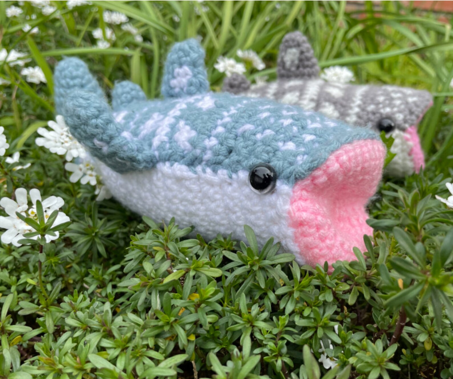 Whale Shark Amigurumi Crochet Pattern Etsy