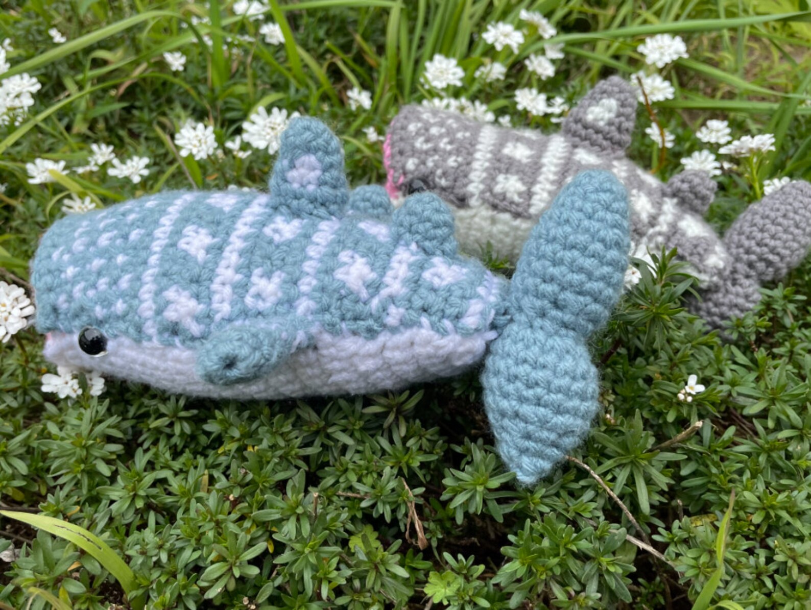 Whale Shark Amigurumi Crochet Pattern Etsy