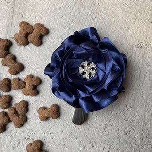 Porta numero per addestratore di cani blu navy con motivo floreale, per donna