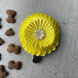 Portanúmeros para exposiciones caninas / Equipamiento para exposiciones caninas / Regalo para peluqueros caninos / Enriquecimiento canino / Diseños para amantes de los perros / Regalo para dueños de perros / Ideas de regalos para amantes de los perros