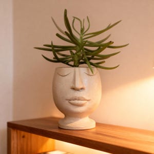 May include: A beige ceramic planter shaped like a face with closed eyes, holding a green succulent plant. The planter sits on a wooden shelf, creating a minimalist and artistic display. The plant has long, slender green leaves.