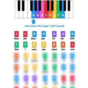 Twinkle Twinkle Little Star Color Coded Piano Sheet Music for Kids | Printable PDF | Toddler Beginner Song Montessori