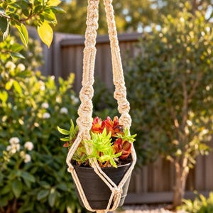 May include: A cream-coloured macrame plant hanger featuring intricate knotted patterns, a wooden ring at the top, and a black plastic pot containing a variety of green and red succulents. The hanger ends in a long, decorative fringe tassel.