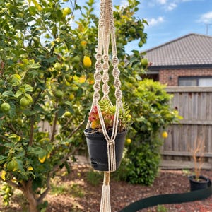 May include: A cream-coloured macrame plant hanger featuring intricate knotted patterns and a long tassel at the bottom. The hanger holds a black plastic pot containing a small succulent plant with green and reddish-toned leaves.
