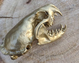 Mink Skull- Gold