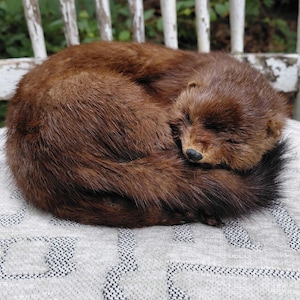 Soft mount sleeping mink