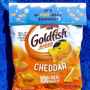 May include: A bag of Goldfish Cheddar Baked Snack Crackers with the text "IT'S O-FISH-ALLY SUMMER!" on a blue towel. The bag is orange and yellow with a picture of a goldfish cracker on the front. The bag is 1.07 ounces (28g).