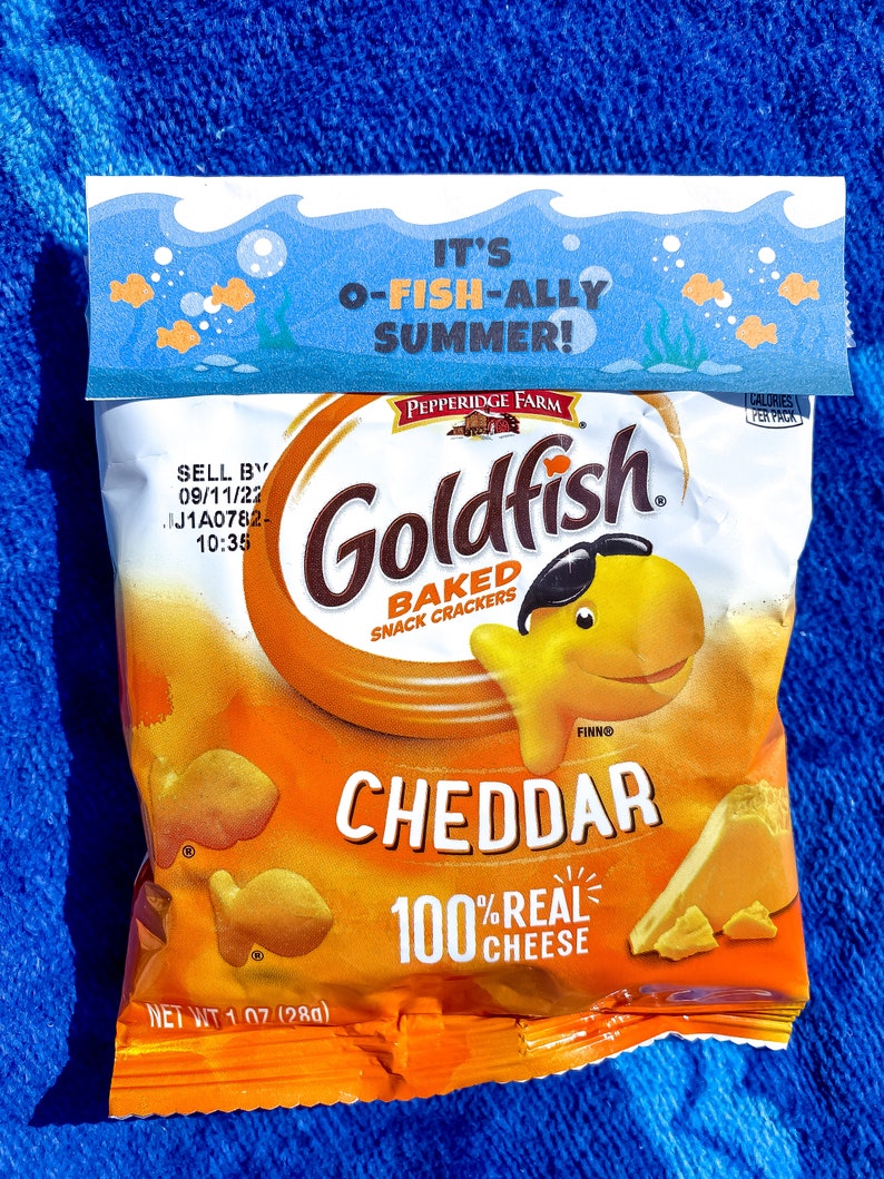 May include: A bag of Goldfish Cheddar Baked Snack Crackers with the text "IT'S O-FISH-ALLY SUMMER!" on a blue towel. The bag is orange and yellow with a picture of a goldfish cracker on the front. The bag is 1.07 ounces (28g).