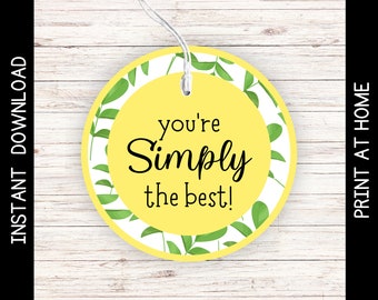 Printable Employee Teacher Lemonade Gift Tag, Teacher or Employee Appreciation Gift Idea, Simply the best Lemonade Gift, Instant Download