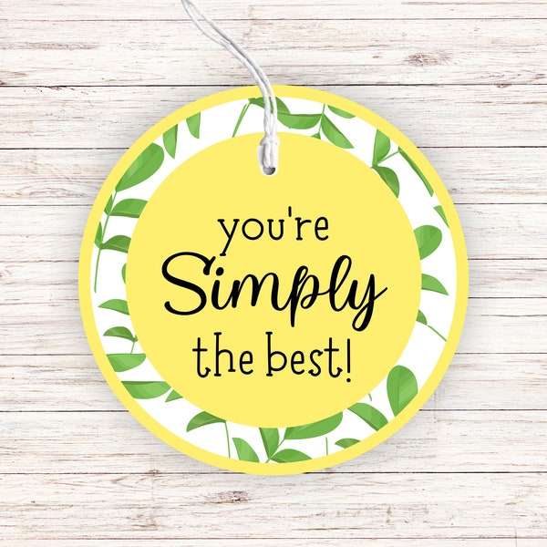 Printable Employee Teacher Lemonade Gift Tag, Teacher or Employee Appreciation Gift Idea, Simply the best Lemonade Gift, Instant Download