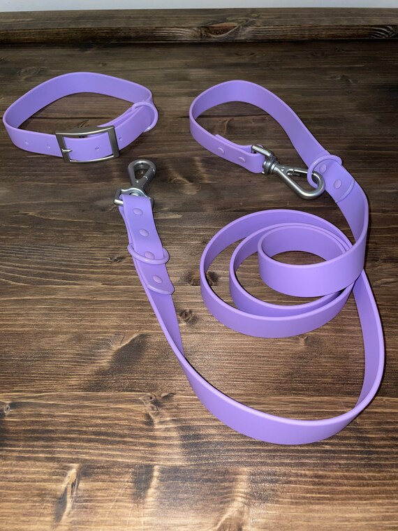 Collar & Leash Walk Kit