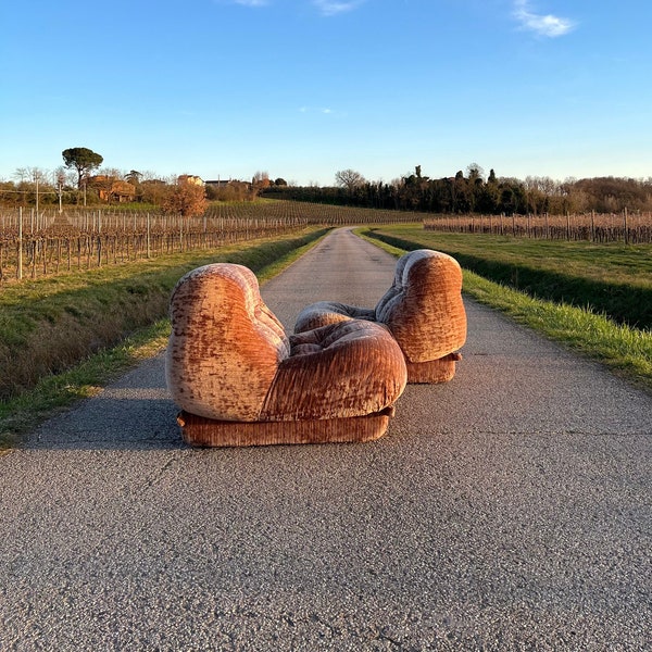 Fauteuil Nuvolone, Rino Maturi, Mimo Padoue, Italie 1970/1979