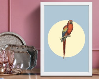 Vintage Bird Collage Print / INSTANT DOWNLOAD / Unique Printable Wall Art / Collage Art Poster / Living Room Decor /Whimsical Bird Art Print