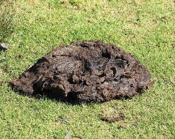Cow Pasture Manure Pie Patty Poop Dung - Fresh Natural Garden Plant Fertilizer