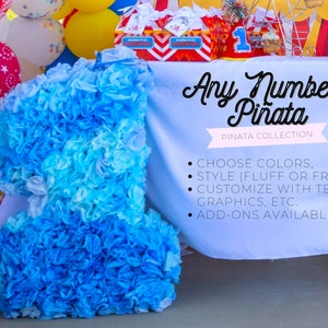Any Number Pinata, Number One, One Pinata, Fluffy Pinata, Pull String Pinata, Birthday Pinata, Custom Pinata, Ombre Pinata, Personalized