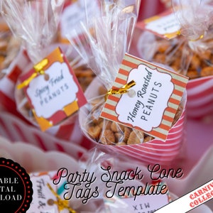 EDITABLE Party Snack Cone TAGS - Carnival Theme. Carnival Birthday. Carnival Party - Printable Template. Carnival Themed Party | Set OF 20