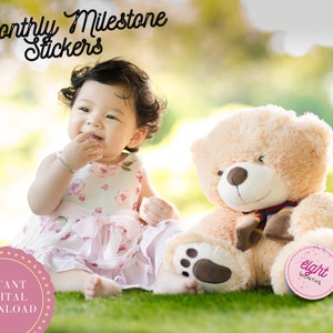 Baby Monthly Milestone Stickers, Milestone Cards, Round Sticker, Photo Prop Stickers, Baby First Year, Printable Stickers, Digital Download