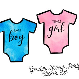 Set of 24 Gender Reveal Party Stickers // Team Pink + Team Blue Stickers // Baby Gender announcement, reveal party, boy or girl, he or she