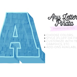 Any LETTER Pinata, LETTER A-Z, Alphabet Pinata, Fluffy Pinata, Pull String Pinata, Birthday Pinata, Custom Pinata, Ombre Pinata