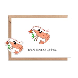 Shrimply la mejor tarjeta de felicitación / Linda tarjeta de felicitación / Tarjeta de felicitación y calcomanía