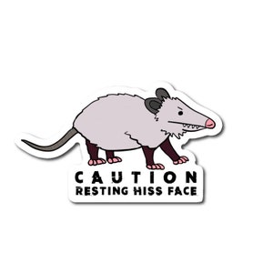 Rest Zischen Gesicht Aufkleber | Opossum Aufkleber | Lustiger Sticker | Possum Sticker