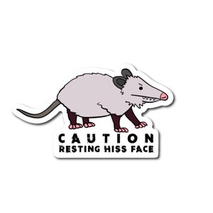 Resting Hiss Face Sticker | Opossum Sticker | Funny Sticker | Possum Sticker