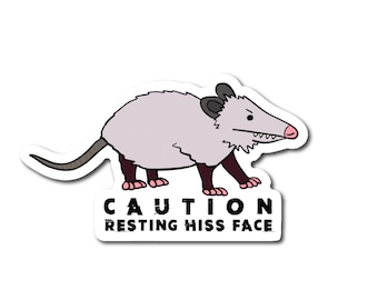 Resting Hiss Face Sticker | Opossum Sticker | Funny Sticker | Possum Sticker