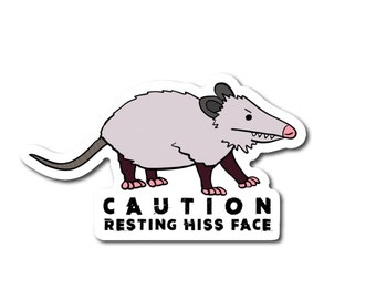 May include: A cartoon illustration of a gray opossum with a pink nose and a black eye. The opossum is standing on all fours and has a grumpy expression. The text "CAUTION RESTING HISS FACE" is below the opossum.
