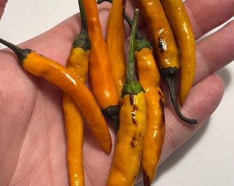 Halloween Thai Pepper Seeds