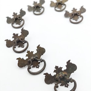 May include: A collection of six brass drawer pulls arranged in a circular pattern. Each pull features a decorative backplate with ornate, leaf-like edges and a swinging, semi-circular handle attached to a central mounting point with a dark patina.