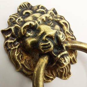 May include: A detailed, antique-style brass lion head door knocker. The lion's face is intricately sculpted with a textured mane and a ring-shaped handle. The knocker has a weathered, aged appearance, suggesting it is vintage or a replica.