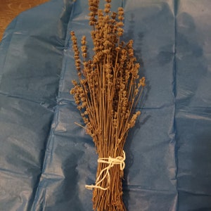 Dried lavender