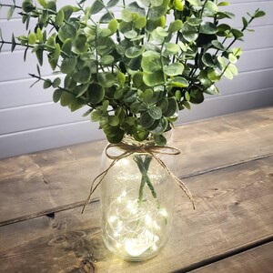 Luces de hadas de repuesto para decoración de tarros de masón, cadena iluminada de hadas de 7 pies, luces de cadena para frascos, luces LED que funcionan con baterías para decoración de bodas imagen 6