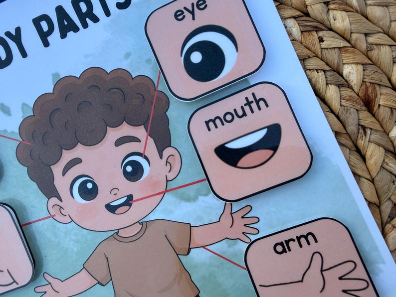 Body Parts Matching Activity for Boys | Preschool Anatomy Learning ...