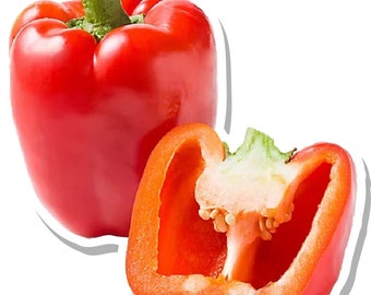 Food Red Pepper Sticker Set