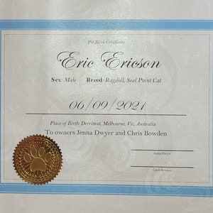 Silver swirl lmmer Certificato di nascita personalizzato per animali domestici