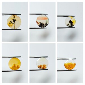 May include: Six round, polished gemstones are held by tweezers. The gemstones display unique patterns resembling miniature landscapes with colors including yellow, orange, black, and white. The stones are translucent and appear to be cabochons.