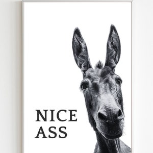 Nice Ass Funny Bathroom Print, Donkey in the Bathroom, Toilet Wall Art, Restroom Decor, Quirky Bathroom Decor, Printable Wall Art, Gifts