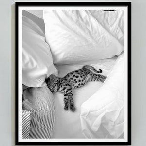 Gepard im Bett Print, Geparden Poster, schwarz weiss, Vintage Fotografie, Fashion Print, Wandkunst, Hypebeast Dekor, digitaler Download